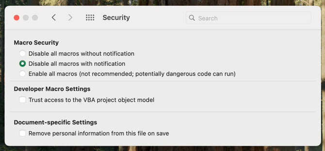 Excel Security Menu